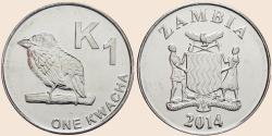 Münzbild
