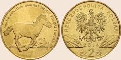 Münzbild