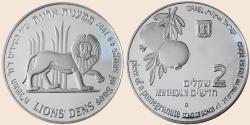 Münzbild