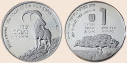 Münzbild