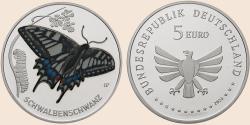 Münzbild