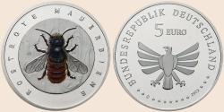 Münzbild