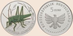 Münzbild