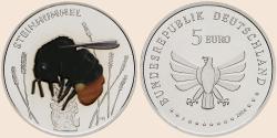 Münzbild