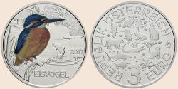 Münzbild